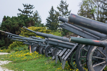 Old cannons lined up, with tubes pointing toward the sky.