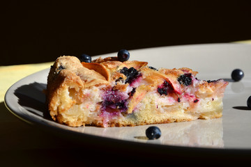  A piece of blueberry pie on a plate