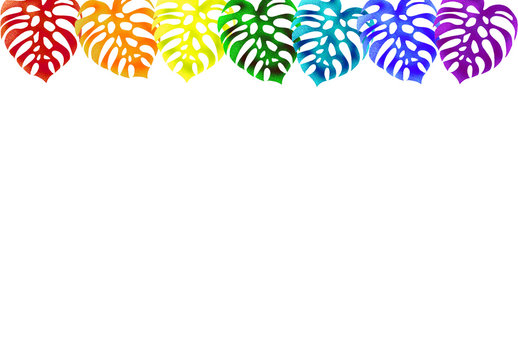 Colorful leaves monstera, tropical leaves on a white background. LGBT rainbow flag. Illustration for letters, envelopes, postcards and banners.