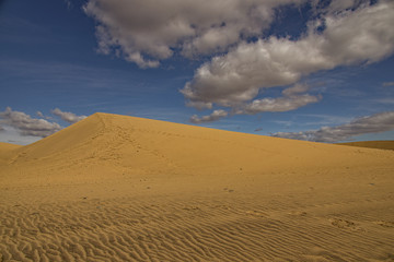 summer desert landscape on a warm sunny day from Maspalomas dunes on the Spanish island of Gran Canaria