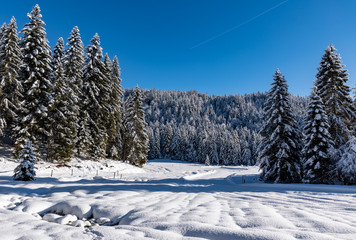 Leutasch, Winterlandschaft