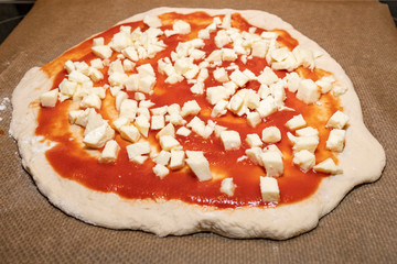 homemade pizza dough with tomato sauce and mozzarella on baking paper