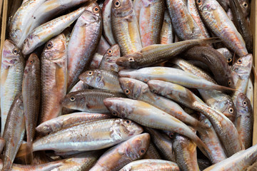 Photo of kidney beans on the market counter. Close up