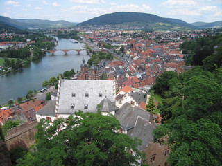 Fototapeta na wymiar Blick von der Mildenburg auf Miltenberg mit Main