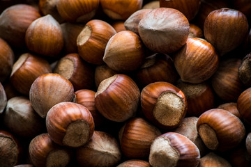 tasty hazelnuts photo backgraund