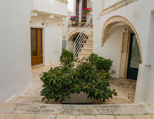 narrow street and entrance to the house in Italy