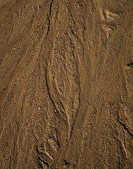 Patterns in Mud