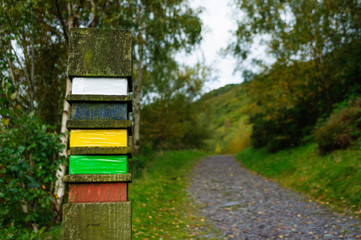 Concept of moving forwards: Gravel trail, footpath, in the woods with a colorful wooden post