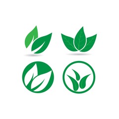 Green leaf logo