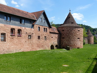 Fototapeta na wymiar Historische Stadtmauer mit Turm und Wallgraben in Büdingen / Wetterau