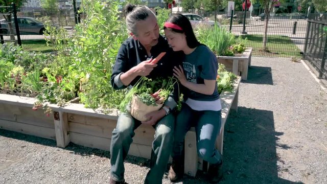 Father and daughter with Down syndrome tasting freshly harvested carrots in sunny community garden