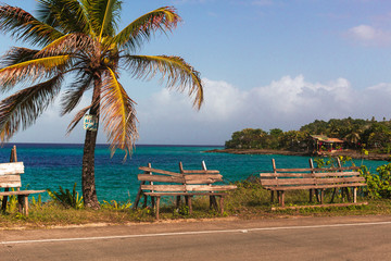 tropical beach with palm trees