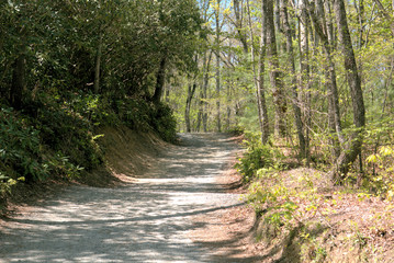 Fototapeta premium Hiking along the Blue Ridge Parkway