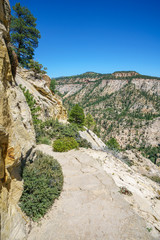 Fototapeta na wymiar hiking the observation point trail in zion national park, usa