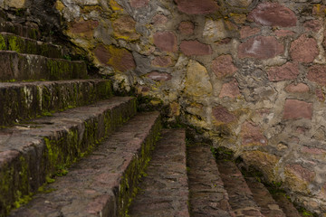 wet and mossy stairs, walls texture from Otomi ceremonial center in Mexico