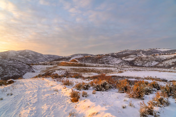 Hill landscape blanketed with snow and illuminated by sunlight at sunset