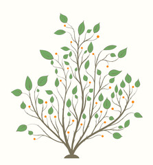 Bush with branches, green leaves and orange berries on a light background