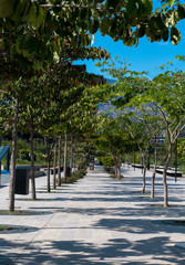 Sendero en la ciudad 