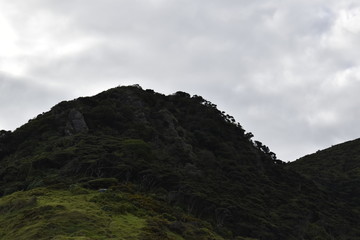 whatipu waitakere auckland