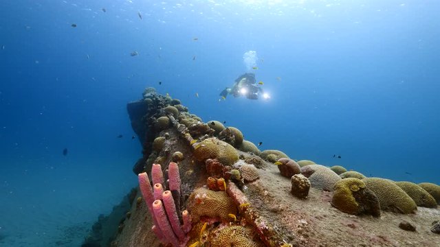 Diver and ship wreck "Black Sand Wreck" in coral reef of Caribbean sea around Curacao 