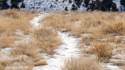 Panorama Snow covered trails on grassy terrain overlooking scenic snowy hill landscape