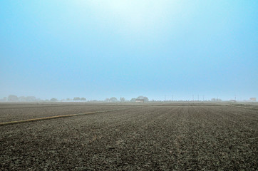 霧の日の田園風景