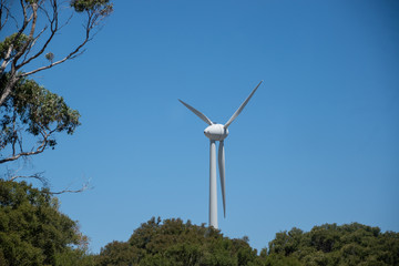 wind terbine