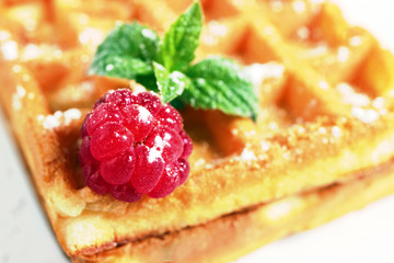 Cookies isolated on white background. Sweet cookies. Homemade dough.