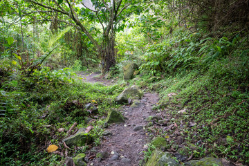 Hike to Mount Pinatubo in in the Philippines on the northern island of Luzon