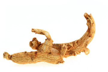 Ginseng on a white background