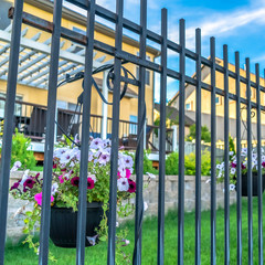 Square Black metal fence with potted colorful flowers against blurry homes and blue sky