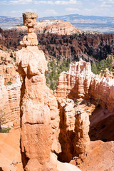 Rock formations at Bryce Canyon National Park on the way down on Navajo Loop trail - Utah, USA