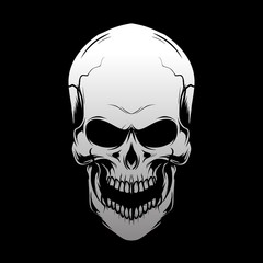 skull head hand drawing,isolated,easy to edit