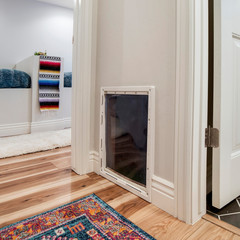 Square Interior of home with carpet on wooden floor and glass pane on the white wall