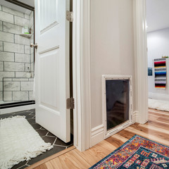 Square frame Interior of home with carpet on wooden floor and glass pane on the white wall