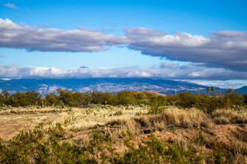 Desert fields and mountians