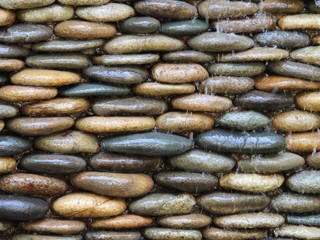 decoration of exterior and interior spaces with natural elements