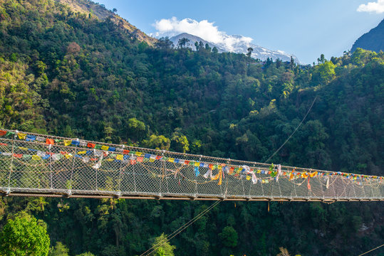The suspension bridge named 'New Bridge' (278 m long) located nearly Jhinu Danda village, one of the famous village on the way to Annapurna Sanctuary of Nepal. - Powered by Adobe