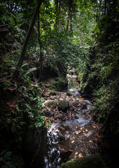 Stream in Bali Indonesia