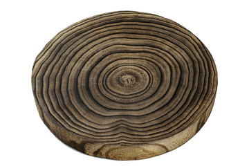 Tree pile. Oak stump log ring isolated on white background. Wood texture