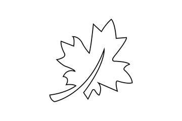 Nature icon maple leaf design trendy illustration