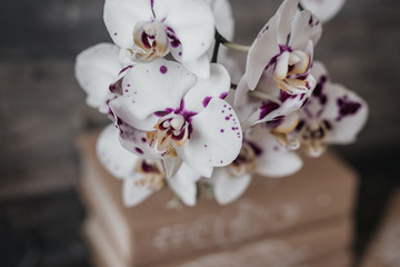 white flowers with burgundy interspersed orchids