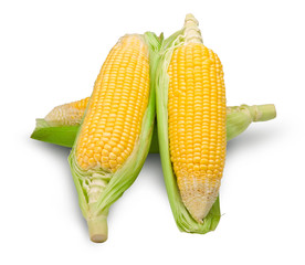 Sweet corns isolated on white with clipping path.