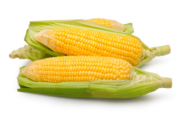 Sweet corns isolated on white with clipping path.