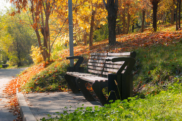 Fototapeta na wymiar Empty bench in autumn park among orange yellow and green leaves