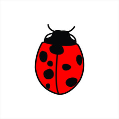 Fototapeta premium Illustratio abstract red ladybug insect animal icon logo vector design graphic