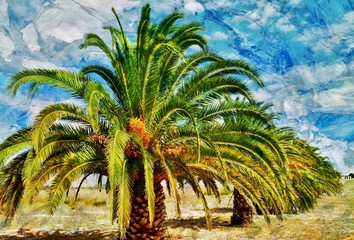 Landscape with Palm Trees and white clouds in the sky