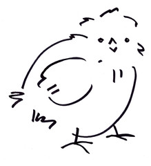 Line art сhicken. Drawn in black marker by hand. On white background.