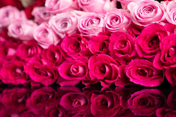 Obraz na płótnie Canvas Valentines day concept. Natural red and pink roses background.