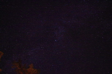 Innumerable stars in the Autumn sky with red leaves tree